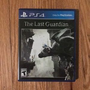 The last guardian